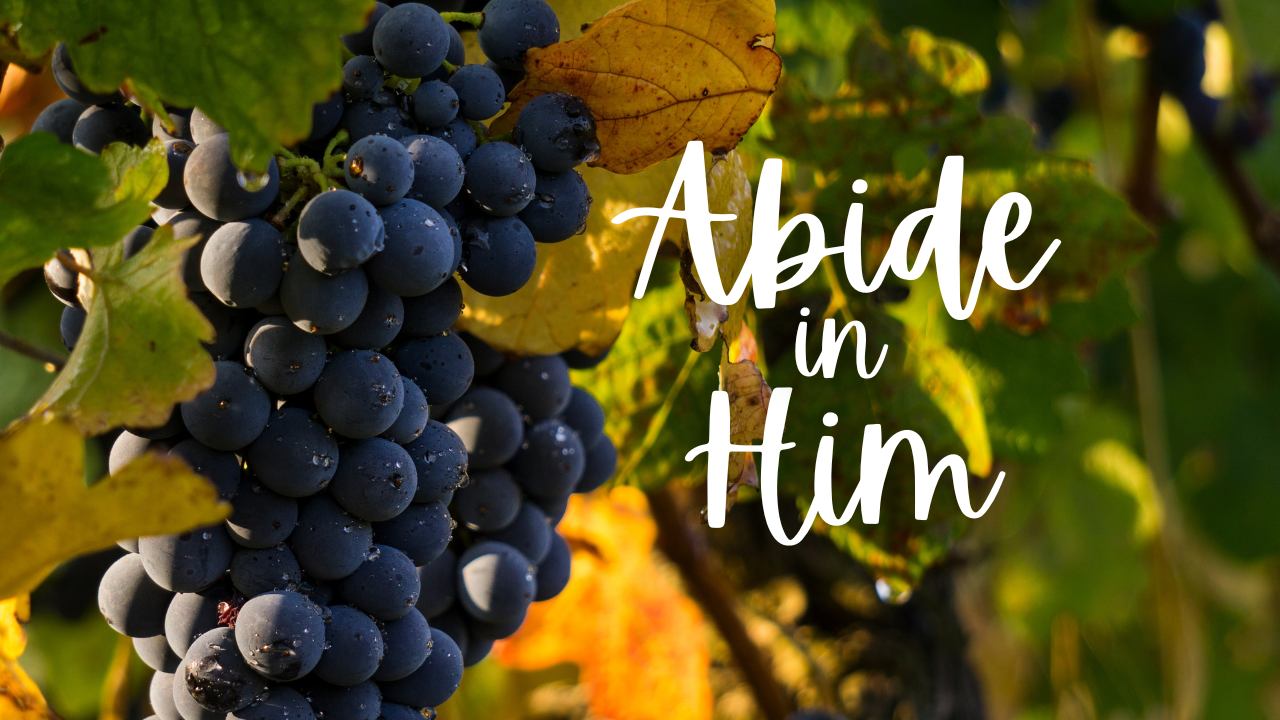 Abide in Him